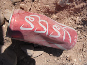 Empty Coca-cola can on the ground (Shutterstock)	