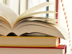 Children are not encouraged to read at home (Shutterstock/File)