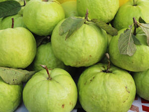 لنتائج أفضل كرري هذه الوصفة يوميًا لمدة أسبوع (shutterstock.com)
