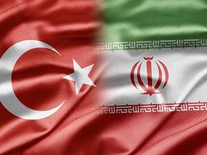 The top Iranian diplomat said Tehran would cooperate with Ankara to put off wildfire in the Iraqi part of Hour al-Azim wetland. (Shutterstock)