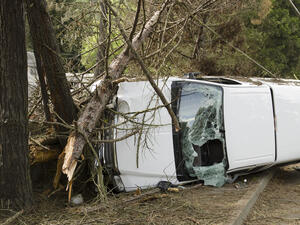 (Shutterstock/ File Photo)