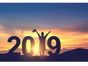 Few suggestions of where to see in a, hopefully, brighter 2019. (Shutterstock)