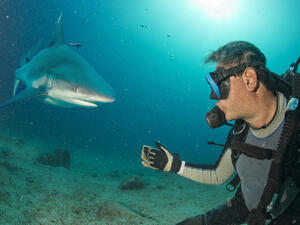 (Shutterstock/ File Photo)