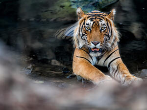 (Shutterstock/ File Photo)