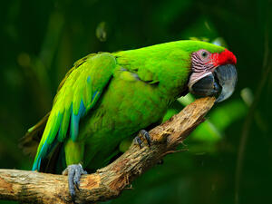 (Shutterstock/File Photo)