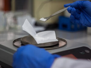 The samples will be sent to Iraq and Syria to be matched with captured people and recovered bodies (Shutterstock/File)