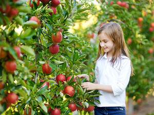 (Shutterstock/File Photo)