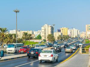 The men take several attempts at picking up the scared feline with their baseball caps (Shutterstock/File)