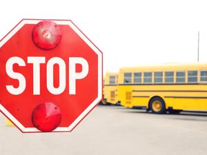 (Shutterstock/ File Photo)