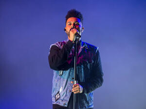 (Christian Bertrand / Shutterstock)