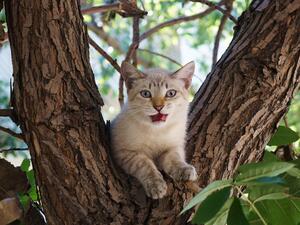 (Shutterstock/ File)