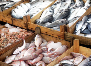 (Shutterstock/ File Photo)