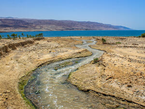 Dead Sea, Jordan River flowing to the Dead Sea (Shutterstock)