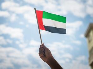 The UAE Flag Day is commemorated on November 3 every year. (Shutterstock)