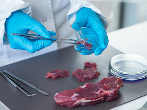 (Shutterstock/ File Photo)