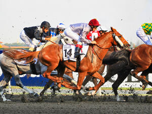 On March 30, 2019, the Dubai World Cup meeting is set to enhance its status as the world’s richest day of horse racing. (Shutterstock)