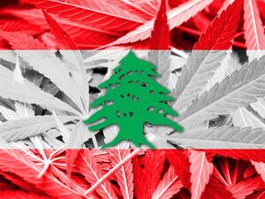 According to the UN Office on Drugs and Crime's report, Lebanon is the third largest exporter of cannabis resin in the world. (Shutterstock)