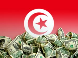 This loan with a fixed interest rate of 2.5%, will be repaid over 30 years with a five-year grace period. (Shutterstock)