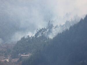 صواريخ نظام الأسد تتسبب بحريق في غابات ريف اللاذقية 