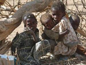 تشهد جنوب السودان منذ كانون الاول/ديسمبر 2013 حربا اهلية