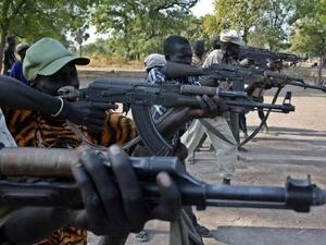 المصريين، عاونوا المسلحين السودانيين في إقليم دافور