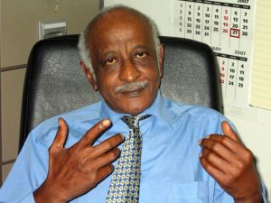 أمين مكي مدني