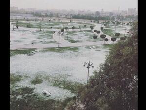 تبوك