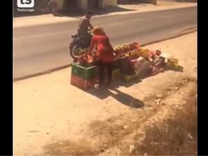 سائق يوقف القطار لشراء الخوخ في تونس