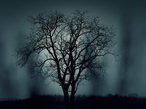 "Halloween is a Pagan festival, originating in Samhain. Those who denied this, said it has purely Christian roots. Note: that doesn’t make it much better." (Pixabay)