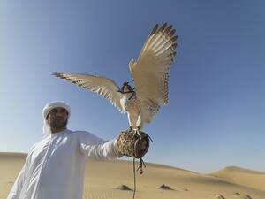 An Emirati man with his falcon. (Pixabay)
