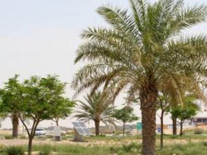 A landscaped roundabout in Al Warqa being irrigated using solar pump. Photo via XPRESS