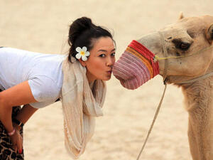 Michelle Wie of the USA comes up close with a camel on the beach at the Jebel Ali Golf Resort and Spa as a preview for the 2012 Omega Dubai Ladies Masters on December 2, 2012 in Dubai, United Arab Emirates. (Photo by David Cannon/Getty Images)
