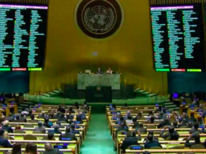 UN General Assembly File Photo (Twitter) 