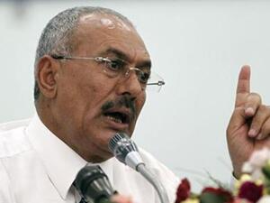 Ali Saleh
