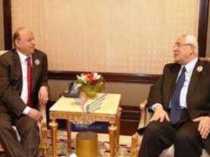 الرئيس المصري المؤقت عدلي منصور ونظيره اليمني عبد ربه منصور هادي