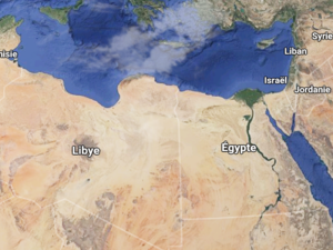 وزير مصري يهدد بالانسحاب من الجلسة الافتتاحية للمنتدى الإفريقي لمهارات الشباب المنعقد في تونس