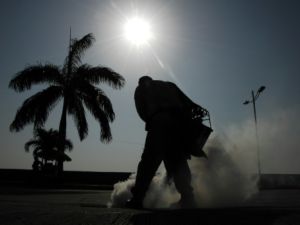 عمال يرشون المبيدات للقضاء على البعوض في شوارع بنما سيتي
