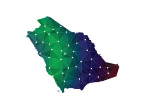 US forces Saudi firm out of new startup backed by OpenAI CEO