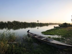 Iraq is shutting down fish farms to deal with water stress