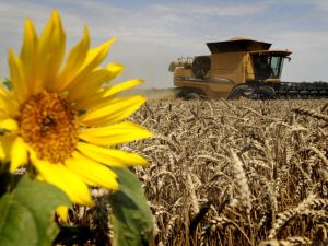 Russia tops grain exporters worldwide