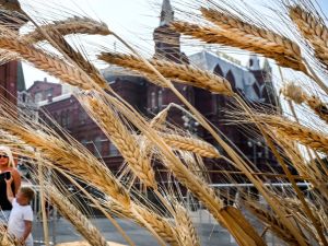 Russia declares Ukraine grain deal over, unless...