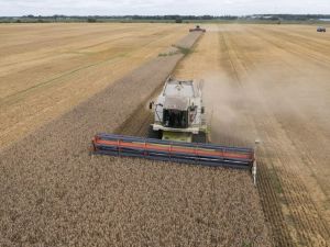 EU commission mulls on subsidizing Ukrainian grain exports