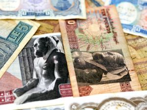 Central bank pins Egypt interest rates for now