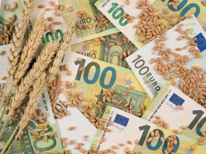 Global food costs index hits 2-Year Low