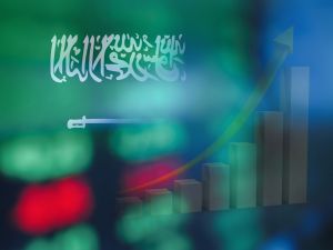 Saudi stocks hit highest daily gains since October
