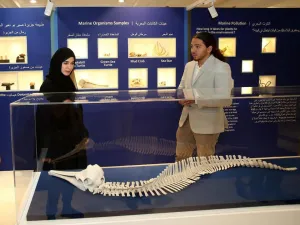 EPAA Organises Celebration for National Environment Day at Souq Al Jubail
