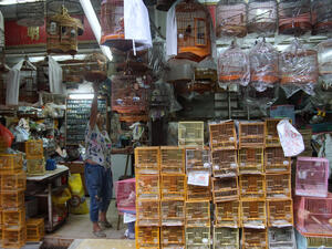 China Considers Permanent Ban On Wildlife Trade