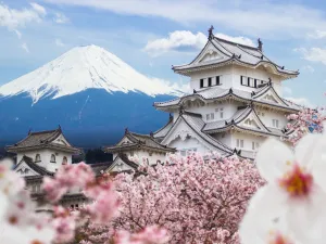 Japan: Economic Growth in Q4 Down to Annualized 11.7 Percent