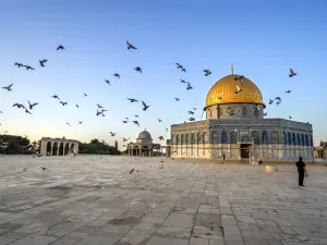 Social Media Giants Delete Posts Related to Tensions in Occupied Jerusalem