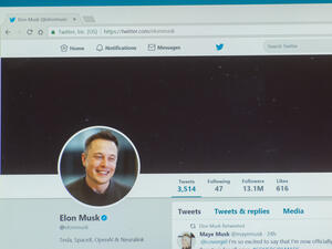 Elon Musk Pledges to Sell $6 Billion in Tesla Stock to End World Hunger